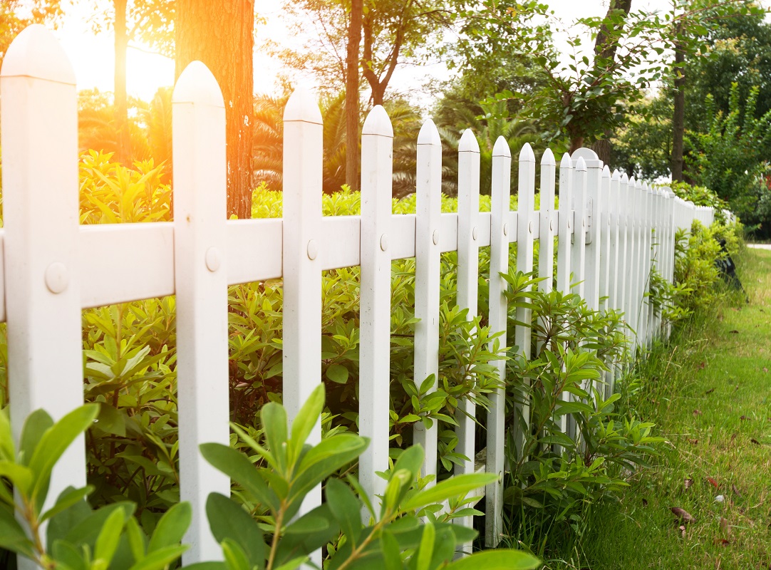 Growing lawn on fence