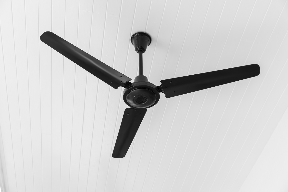 A black ceiling fan on white ceiling